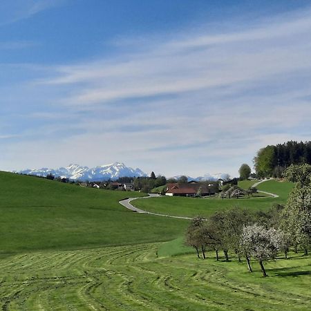 Ferienwohnung Pusteblume Neukirch  Bagian luar foto