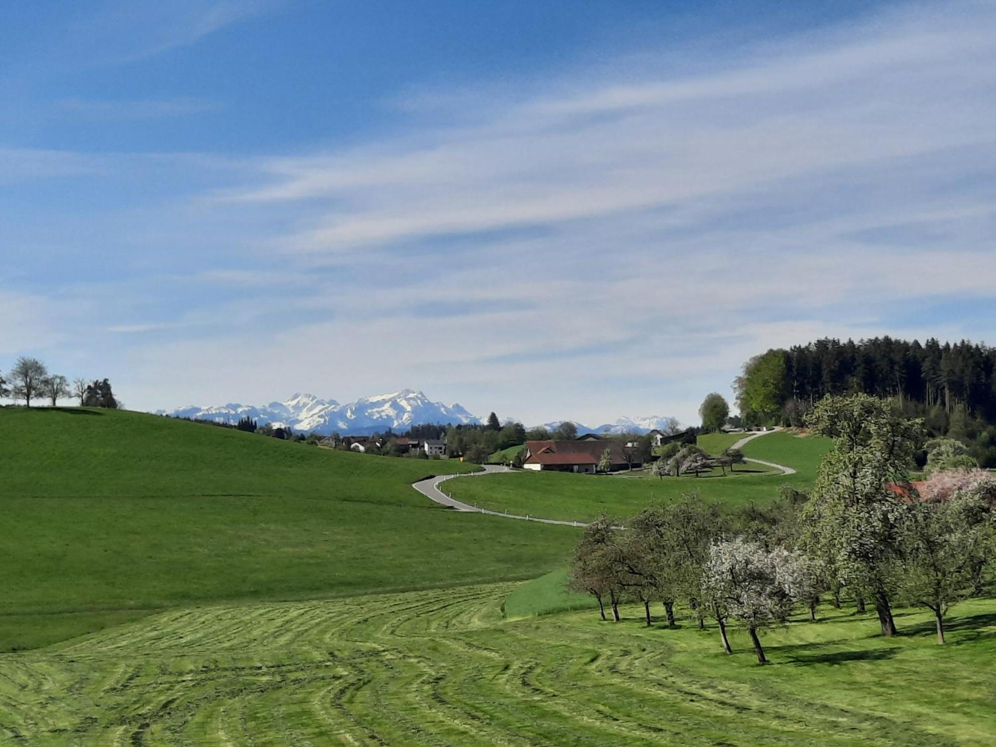 Ferienwohnung Pusteblume Neukirch  Bagian luar foto